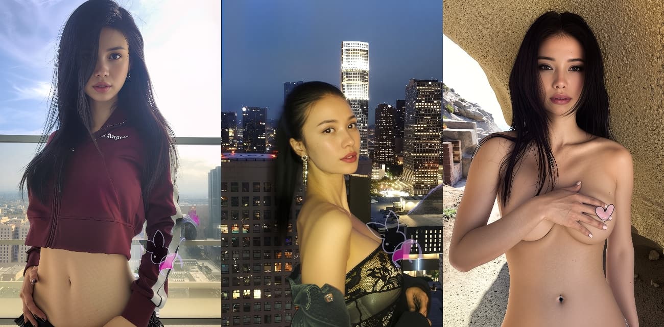 51视频 - 天天免费观看实时更新