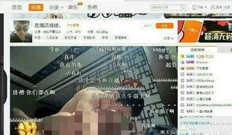 国产啪tv,探索“啪tv”的独特魅力