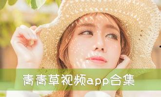 青青草免费国产,国产影视的崛起与魅力展现