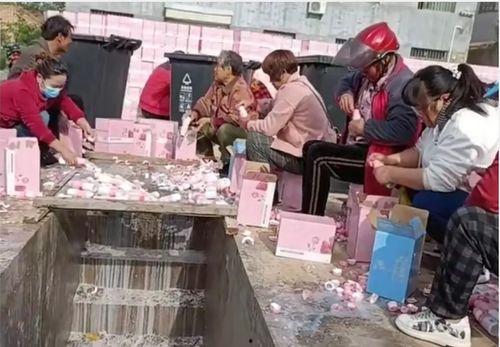 国产网,引领潮流，打造民族互联网新生态